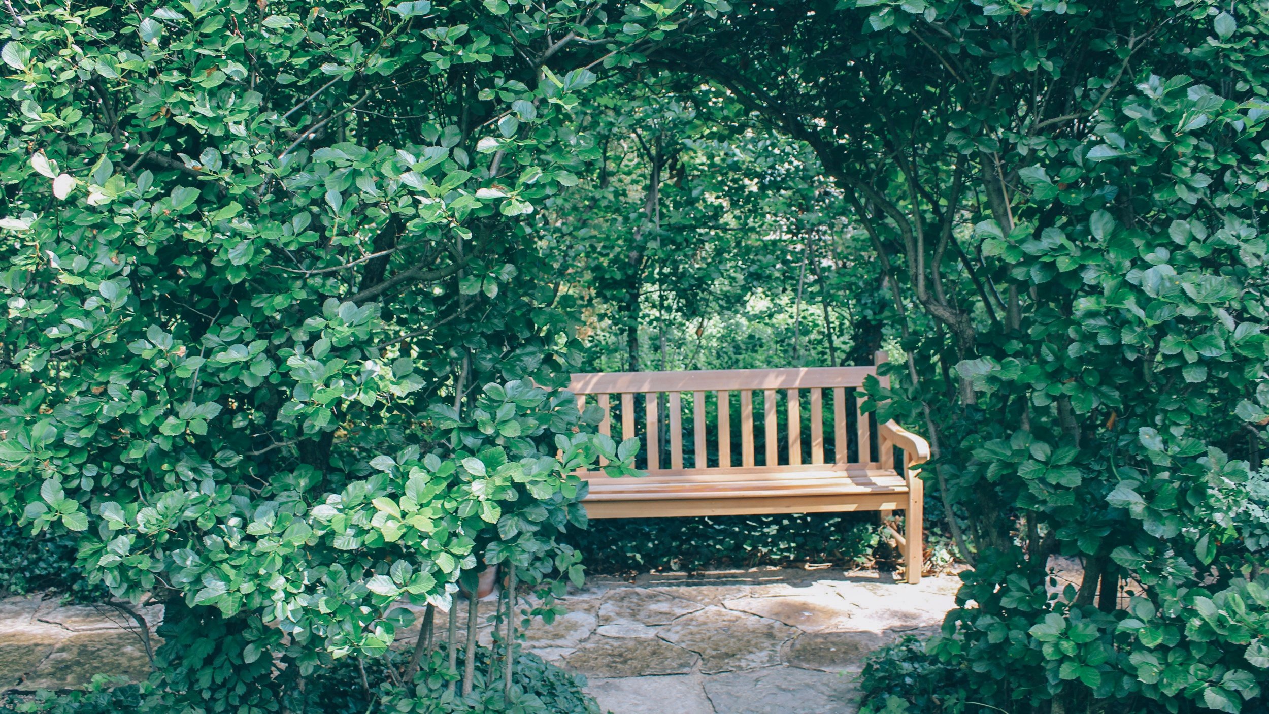 shakespeare garden sitting bench.jpg
