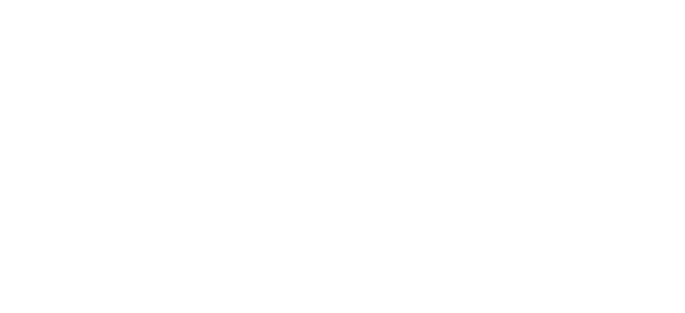 Womens Business Enterprise National Council